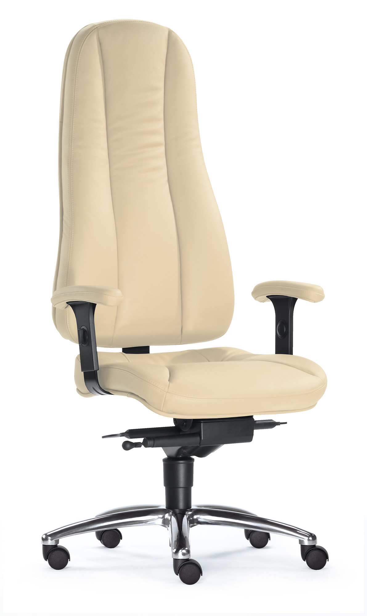 SITWELL STEIFENSAND Dynamik L